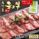 【ふるさと納税】 九州産和牛 肉厚でも柔らか！ 訳あり 牛若丸 九州産 和牛 タン 自家製 タレ付 セット 250g 牛タン 国産 たん 牛 スライス 真空パック 冷凍 お取り寄せグルメ 食品 肉 焼肉 BBQ 自宅用 送料無料 2B4