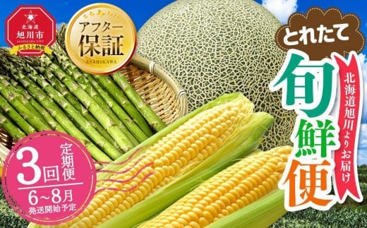 とれたて旬鮮便～北海道旭川市から旬の定期便～【 野菜 アスパラ グリーンアスパラ アスパラガス ゴールドラッシュ とうもろこし 赤肉 メロン フルーツ 果物 旭川市ふるさと納税 北海道ふるさと納税 旭川市 北海道 お取り寄せ 定期便 頒布会 冷蔵配送 クール便 】_01107