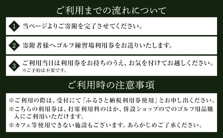ゴルフ 練習場 利用券 カナーレゴルフプラザ流山 10000円分 《30日以内に出荷予定(土日祝除く)》千葉県 流山市 ゴルフ場 利用 チケット 初心者 上級者 ベテラン