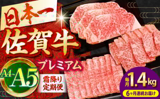 【全6回定期便】佐賀牛 プレミアム霜降り定期便【田中畜産牛肉店】 [HBH026]