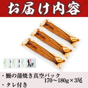 うなぎの大楠＜特大＞3尾セット計510g(170g×3) うなぎ 鰻 ウナギ 3尾 国産 九州産 蒲焼き かばやき 冷凍 うな重 ひつまぶし タレ 山椒 真空パック ランキング 人気 b3-005
