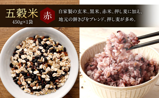 【定期便年3回】 五穀米 (黒・赤) ＆ もち麦 セット 計1.3kg