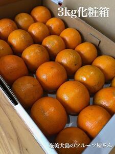 【2026年2月以降発送】奄美たんかん 約3kg化粧箱＜数量限定／先行予約＞