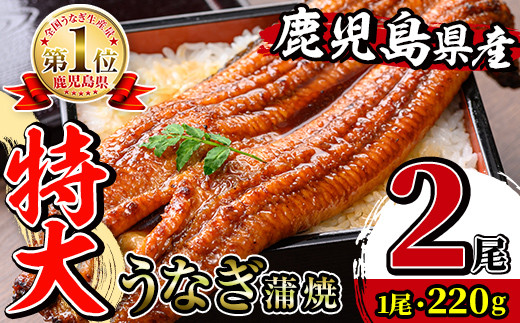 
                  i1078-A ＼特大サイズ／鹿児島県産 うなぎ蒲焼 2尾（約220g×2・計約440g） たれ 山椒付きうなぎ 鰻 ウナギ 特大 特大サイズ 約220g 蒲焼き 国産 鹿児島県産 焼きたて 生産量日本一 真空パック おかず 晩御飯 特別な日【薩摩川内鰻】
                