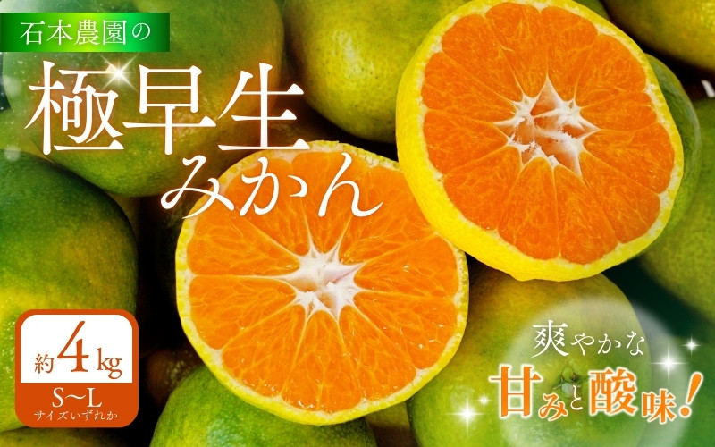 
                  石本農園の 極早生みかん S～Lサイズいずれか 約4kg【9月中旬から10月下旬までに順次発送】/ みかん ミカン 蜜柑 温州
                