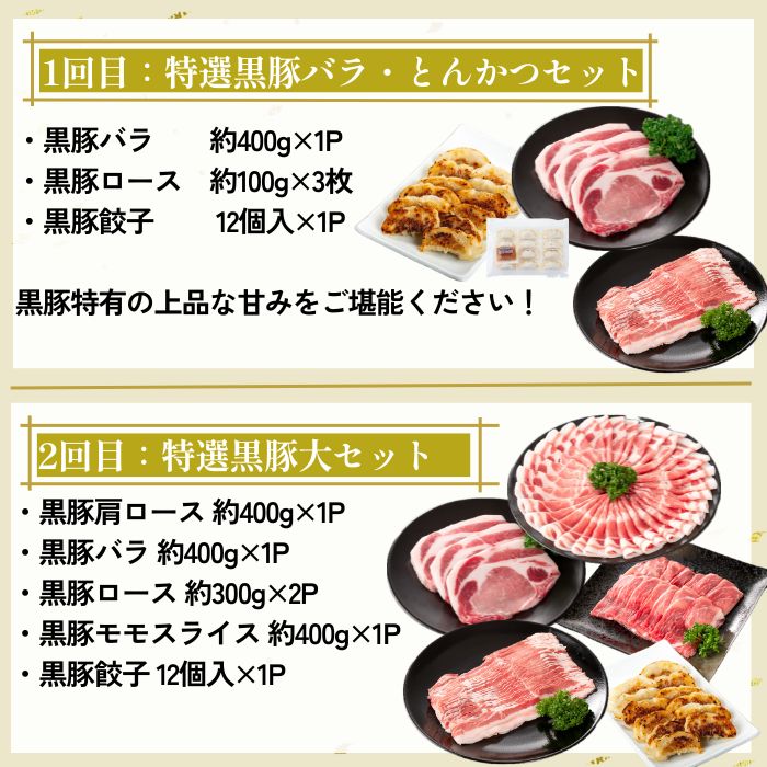 【D02007】 ＜定期便・全5回＞かごしま黒豚まんぞく定期便B (月1回×5ヶ月)_イメージ2