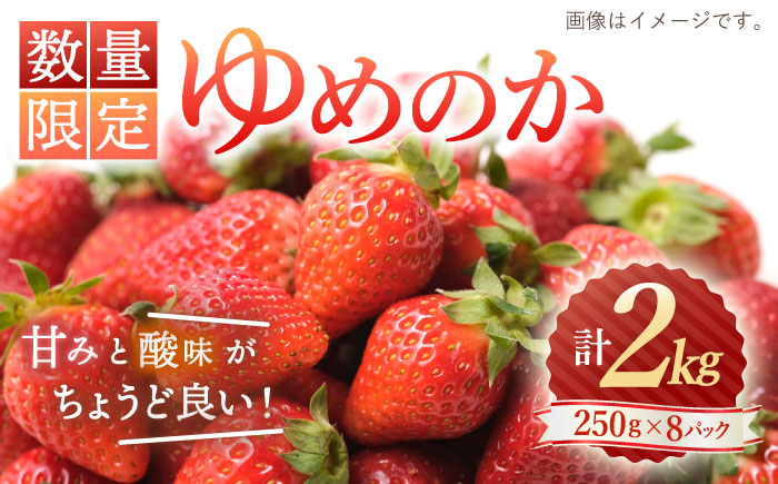 
【☆先行予約☆】【数量限定】 ゆめのか いちご 約2kg（250g×8パック）＜川原農園＞ [CDR010]
