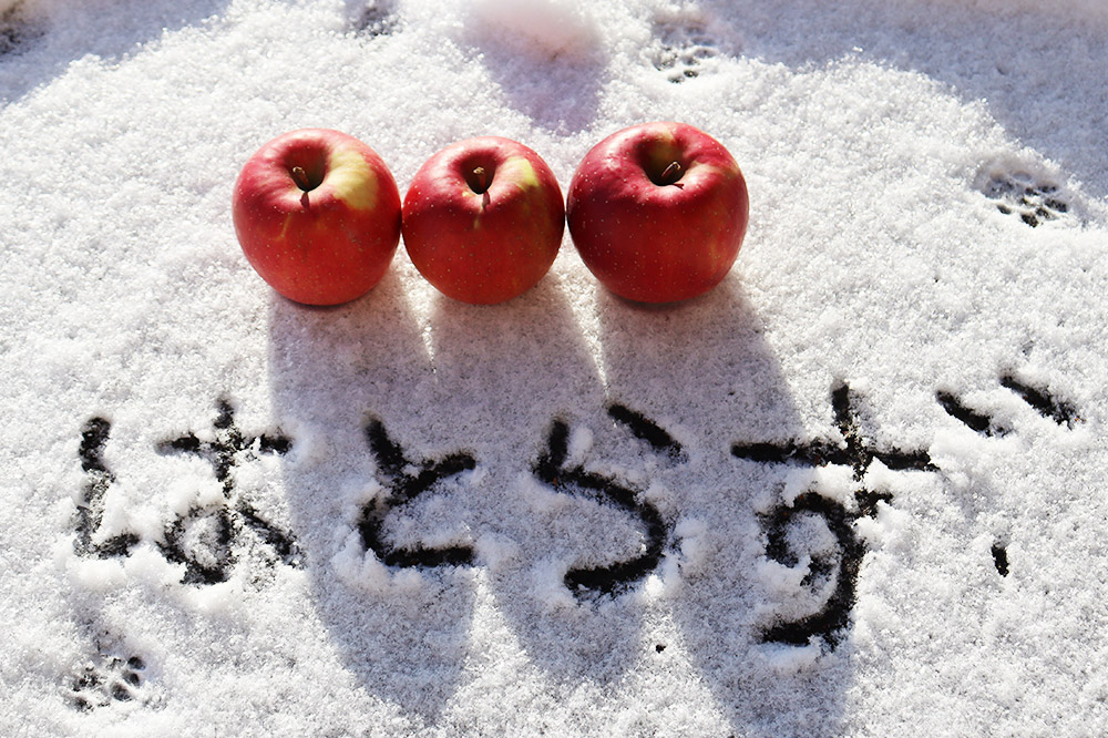 【25年12月発送】《定期便2ヶ月》りんご 葉とらず ふじ《家庭用》約5kg ゴールド農園