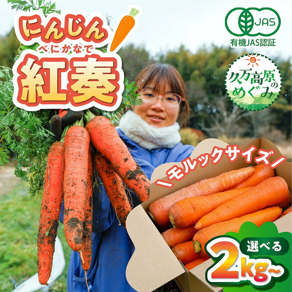 【ふるさと納税】＼選べる内容量／【産地直送】【先行予約】モルックサイズ！？ 特大にんじん（紅奏）2kg・5kg ｜ 人参 ニンジン ニンジンジュース 有機 JAS 高原野菜 久万高原町 ※離島への配送不可 ※2026年12月上旬～2027年2月上旬頃に順次発送予定