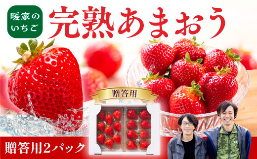 
                  暖家のいちご　完熟あまおう　贈答用2パック【2月中旬以降順次発送】AB001
                