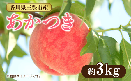 【配送不可地域：北海道・沖縄県・離島】もも 桃 あかつき 白桃 白鳳 神田桃園 【2025年7月中旬から順次発送】香川県三豊市産「あかつき」（約3kg）_M51-0011