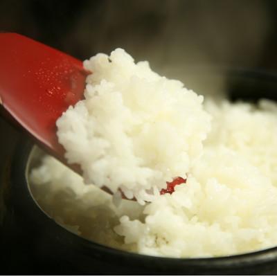 ふるさと納税 海田町 広島県産コシヒカリ　10kg |  | 01