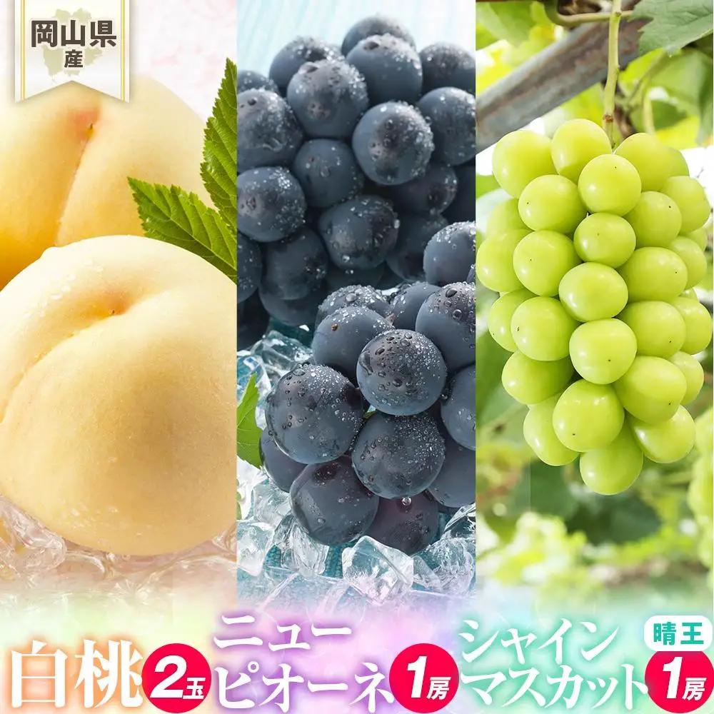 桃 ぶどう詰め合わせ 2027年 先行予約 /白桃2玉(1玉220g以上)・ニューピオーネ1房(480g以上)・シャインマスカット『晴王』1房(480g以上) 化粧箱入り