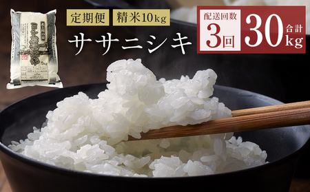 【定期便3回】 米 令和7年産 ササニシキ 精米 30kg (10kg×3) こめ コメ お米 ご飯 白米 ささにしき 定期便 3回