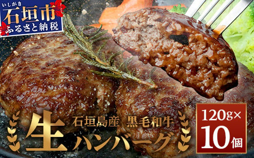 
石垣島産 黒毛和牛 生ハンバーグ 120g x 10個 【沖縄 石垣 石垣島産 黒毛和牛 和牛 ハンバーグ】 UN-2
