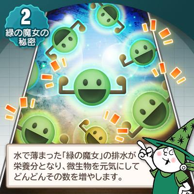 ふるさと納税 龍ケ崎市 天然オイルの為香害対策へ　緑の魔女ソフナー(柔軟剤)2L×8本セット【沖縄・離島配送可能】 |  | 02