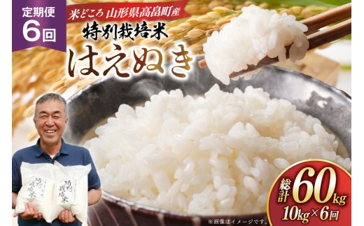 米 定期便 6回 令和8年 はえぬき 10kg 6回 計60kg [渡部ファーム 山形県 高畠町 tk06ays810044] お米 白米 精米 ごはん ご飯 ブランド米