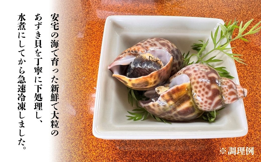 【季節限定】【600g】黒ばい貝水煮（冷凍）200g×3袋