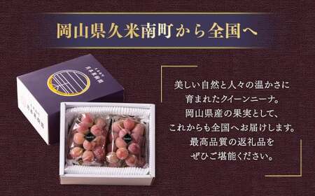 【種なし】 岡山県産 クイーンニーナ 1kg箱（2~3房入り） 【2026年8月下旬-9月上旬発送予定】 ／ ぶどう ブドウ 葡萄 大粒 種なし 種無し フルーツ 果物 くだもの 果実