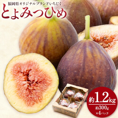 【ふるさと納税】【26年度出荷】いちじく 無花果 とよみつひめ 約1.2kg 約300g × 4パック 南国フルーツ株式会社《8月上旬-10月中旬頃出荷》福岡県 小竹町 福岡県産 いちじく フルーツ 果物