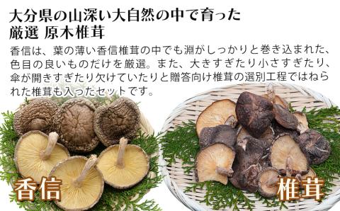 大分県産 原木椎茸2種食べ比べセットE(香信・椎茸) 干し椎茸 乾燥椎茸 しいたけ 九州産 中津市 国産 熨斗対応可