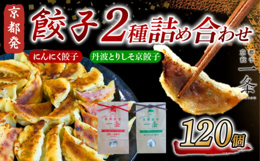 選べる 餃子 2種詰め合わせセット にんにく餃子 ＆ 丹波とりしそ京餃子  120個  冷凍 ぎょうざ ギョウザ ギョーザ しょうが 生姜 豚肉 便利 簡単調理 惣菜 絶品 おかず お子様 家族 こだわり餃子 餃子 人気餃子 簡易包装餃子 冷凍餃子 冷凍生餃子 京都 井手町 京都餃子一条 