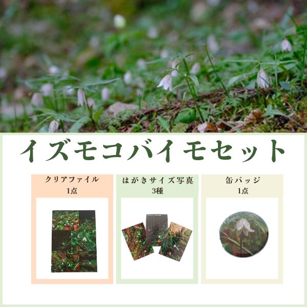 【ふるさと納税】イズモコバイモセット｜雑貨｜