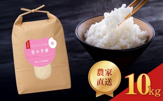 令和7年産  恋の予感 精米 10kg