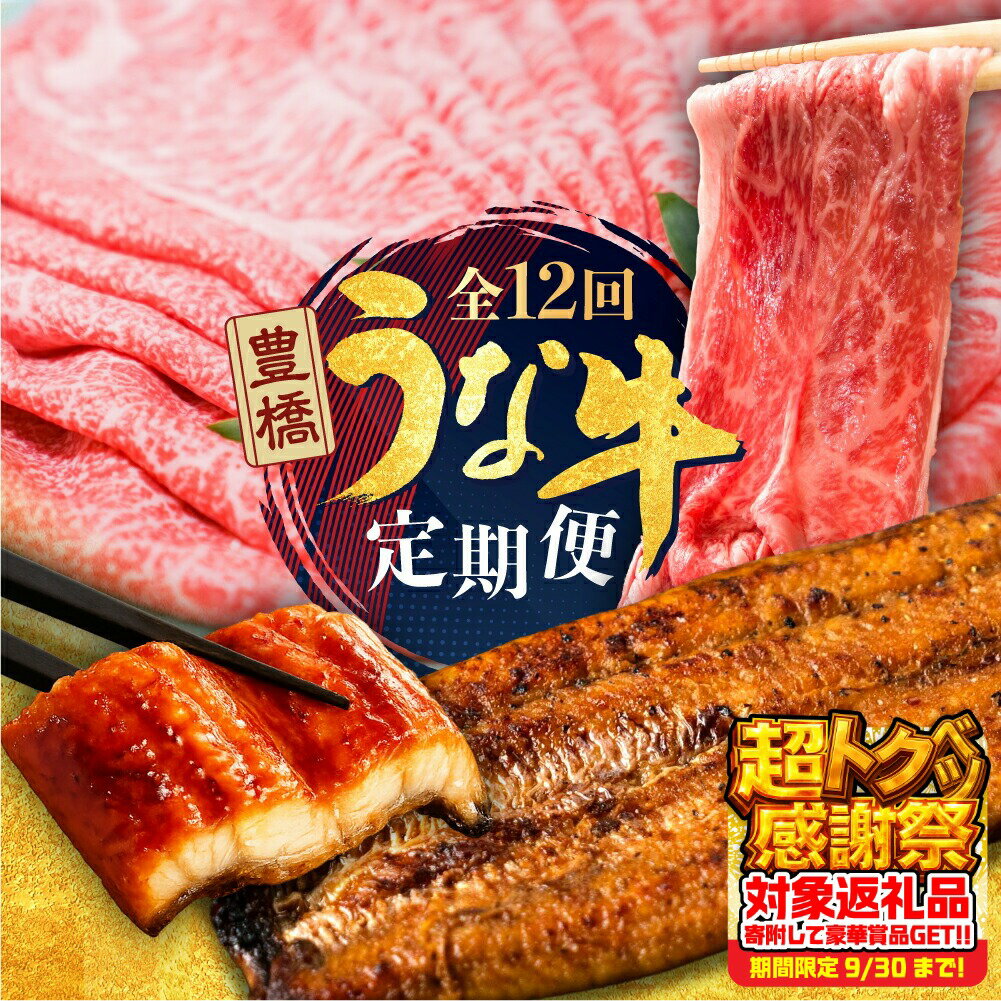 【ふるさと納税】幻の うなぎ & 牛肉 定期便 回数が選べる 3回 6回 12回 お届け 定期便 2尾 牛 肩ロース しゃぶしゃぶ 肉 熟成 タレ付き 山椒付き 毎月お届け 厳選 簡易包装 鰻 ウナギ 幻 希少 鰻 蒲焼き 長蒲焼 最高級 土用丑の日 ギフト どうまい 冷凍 丑の日 簡単調理