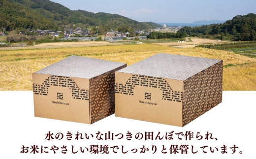 【黒箱】【全6回定期便】農薬 を使わずに育てた 山つき 夢つくし 5kg itoshimacco《築上町》【株式会社やました】 [ABEX015-2]
