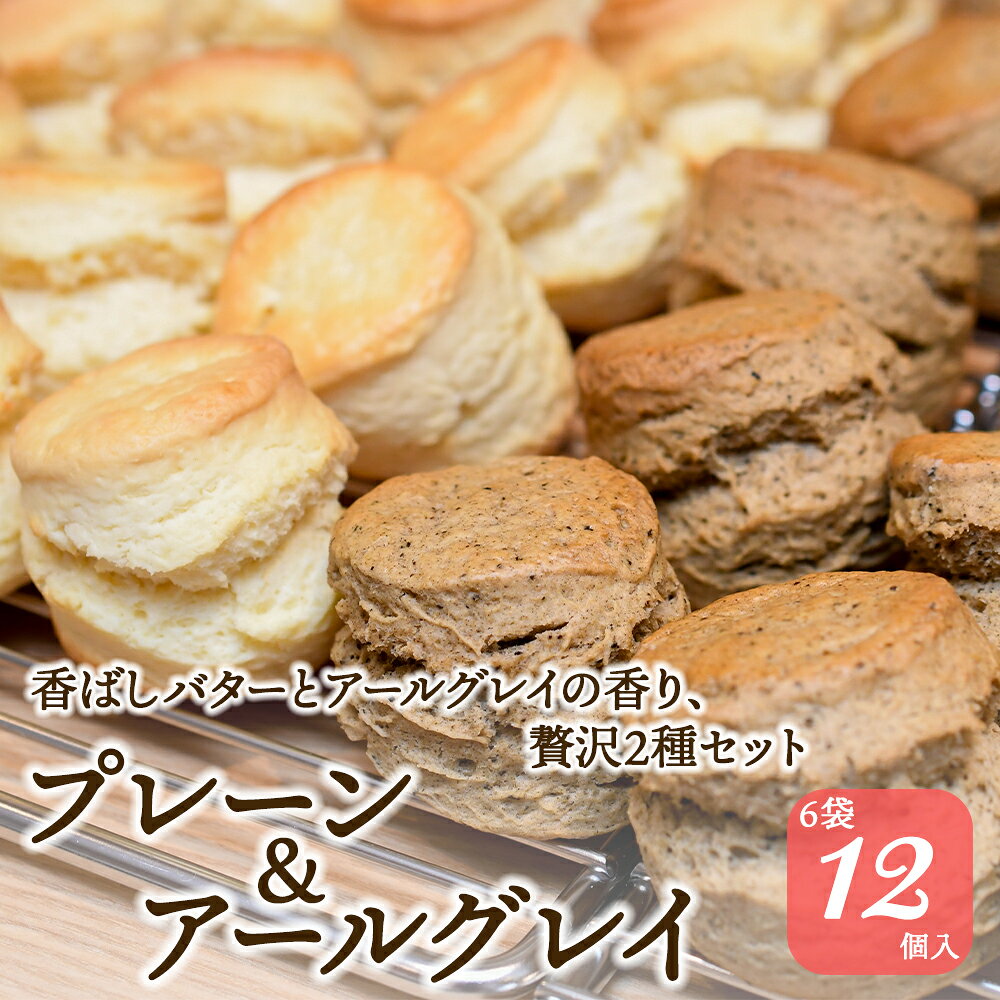 【ふるさと納税】 スコーン 12個 セット 2種 ( プレーン 6個 アールグレイ 6個 ) 焼き菓子 スコーン お菓子 焼菓子 おやつ スコーンセット 洋菓子 デザート スイーツ すこーん ミルクティー 手作り 紅茶 茶 専門店 10000円 ティー イソブチカンパニー 神奈川 湘南 藤沢