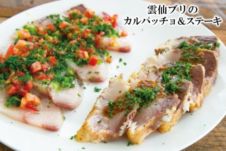 雲仙ブリ 1本 処理済み 真空パック [田中鮮魚店 長崎県 雲仙市 item2167] ぶり ブリ 鰤 パック済み