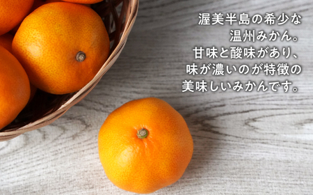 【12月お届け】大橋農園の ご家庭用 温州みかん 5kg みかん 温州みかん ミカン 蜜柑 柑橘 柑橘類 フルーツ 果物 旬 訳あり ワケアリ 訳アリ 愛知県 田原市 渥美半島