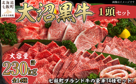 大沼黒牛　1頭 NAM009