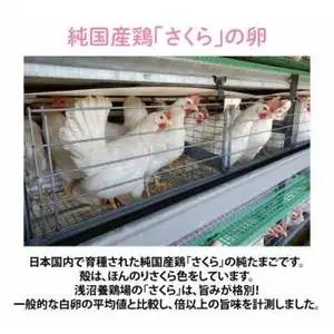 【卵】純国産鶏【さくらともみじ】純たまご 30個入り (AJ031) 鶏卵 食べ比べセット