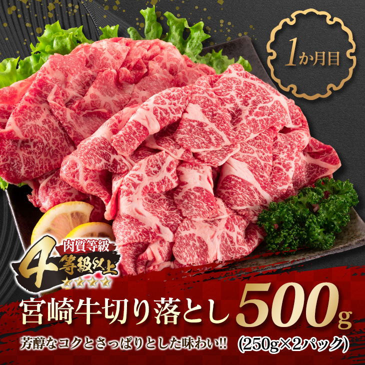 F57-21_数量限定 3か月 お楽しみ 定期便 牛 豚 鶏 バラエティ セット 総重量5kg 肉 牛肉 宮崎牛 豚肉 鶏肉 国産 食品 おかず 切り落とし BBQ 送料無料_イメージ2