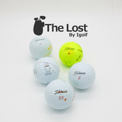 【ふるさと納税】タイトリストProV1/V1x　ロストボール　練習用　30個セット　年代、カラー混合【1749679】