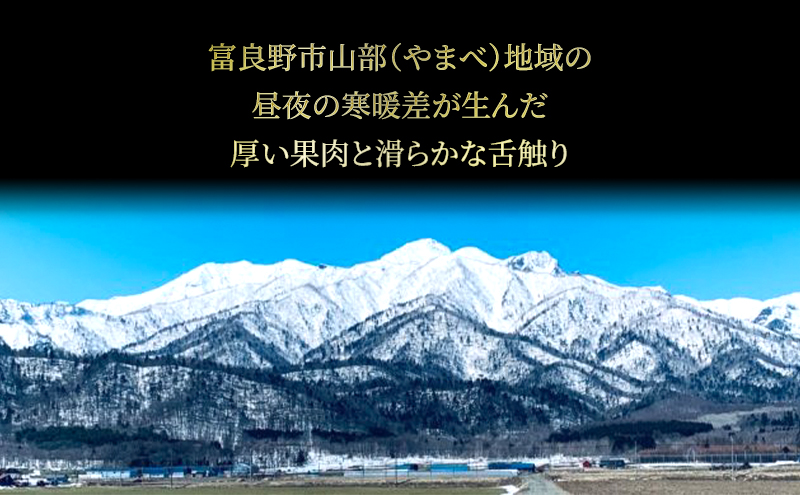 北海道 富良野産 ヒグマのおくりもの(メロン)[2玉 1.6～2kg未満/玉] メロン フルーツ 果物 新鮮 甘い 贈り物 ギフト 道産 ジューシー おやつ ふらの ブランド 夏