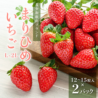 先行受付　まりひめイチゴL～2L12粒～15粒×2パック【配送不可地域：離島】【1494225】