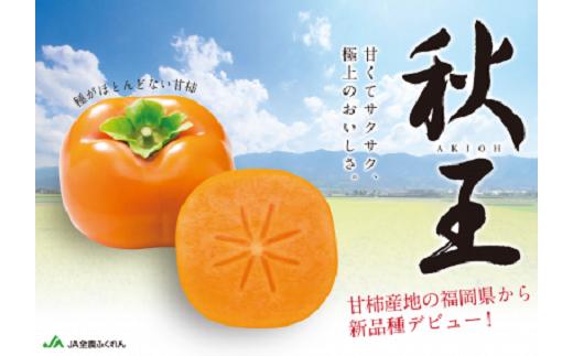 
            AB146.九州・福岡より直送．秋の王様・新ブランド柿『秋王』約1.5kg／2026年10月～11月発送予定【秋王】
          