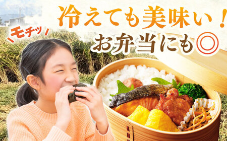 【特別栽培米】令和7年産 さがびより 玄米 10kg 【ももさき農産】 [HCG005]特A 