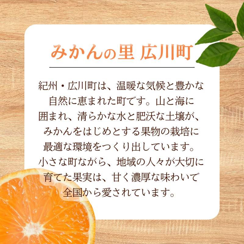 ゆら早生みかん 3kg（2S～Lサイズ） ※2026年11月上旬～12月上旬に順次発送予定 【tkn004-r-3B】