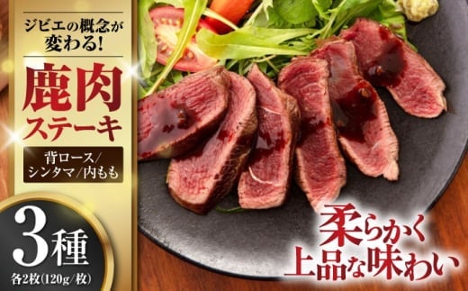 【お歳暮対象】【12月上旬以降順次発送】鹿肉 ステーキ 3種セット ( 背ロース・シンタマ・内もも 各2枚 )《喜茂別町》【EBIJIN】 ジビエ 鹿 モモ セット 詰め合わせ ステーキ 赤身 冷凍配送 北海道 [AJAO005] 44000 44000円