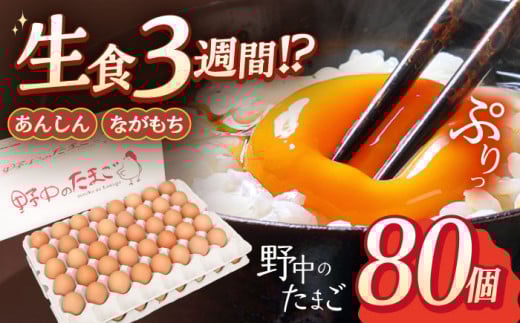産みたて新鮮卵 野中のたまご  80個【野中鶏卵】[OAC002] / 卵 長持ち 濃厚 玉子 濃厚 卵料理 タマゴ 鶏卵 オムレツ 卵かけご飯 卵焼き