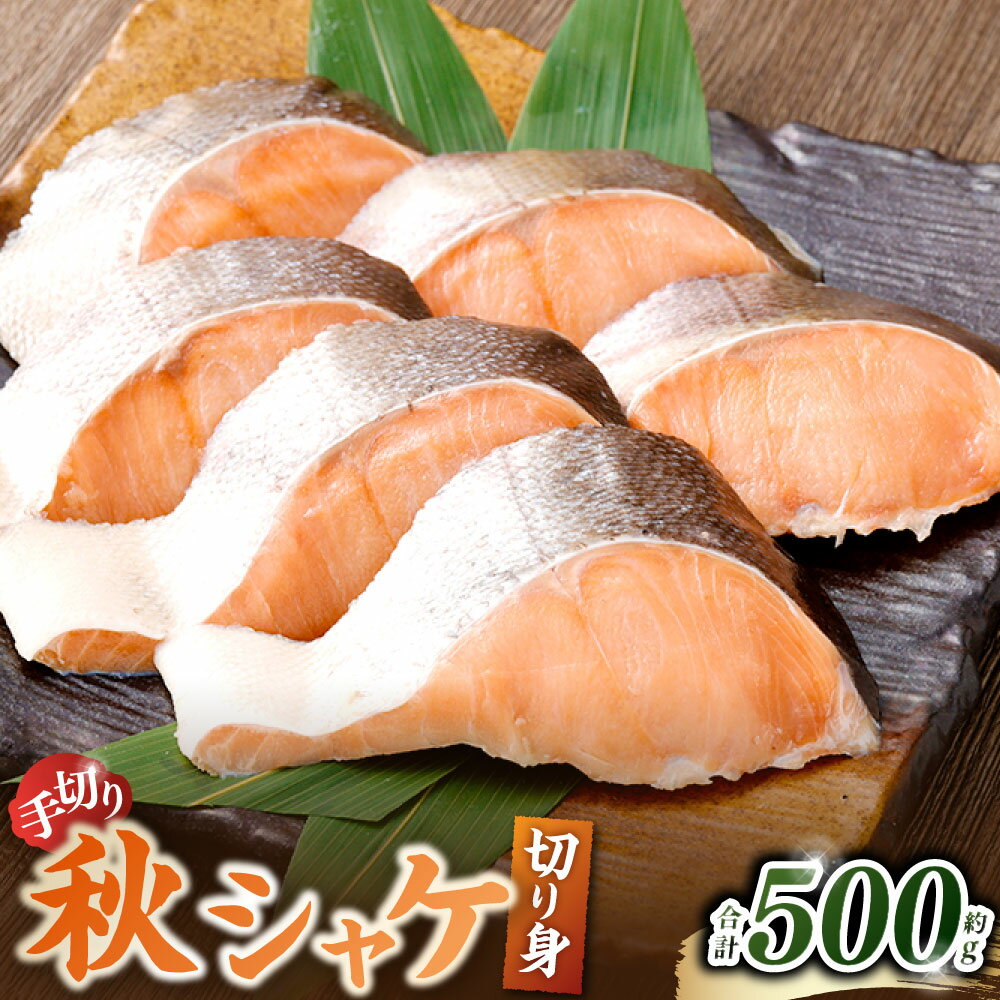 【ふるさと納税】秋シャケ 切り身 約500g 鮭 さけ 秋鮭 しゃけ シャケ サケ 手切り 焼魚 煮物 汁物 お魚 魚 さかな 魚介類 水産物 海産物 冷凍 国産 大阪府 阪南市 送料無料