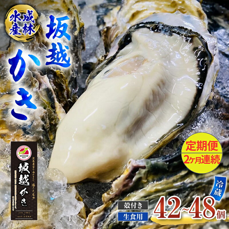 【ふるさと納税】定期便 牡蠣 生食用 坂越かき 殻付き 42～48個《2ヶ月連続お届け》 成林水産 [ 生牡蠣 真牡蠣 かき カキ 冬牡蠣 ]　お届け：2026年1月中旬～2026年4月