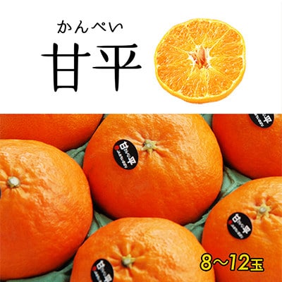 4L〜2L 8〜12玉、1月中旬〜2月に発送【先行受付】高級柑橘 甘平 (化粧箱入)【C64】【1111438】