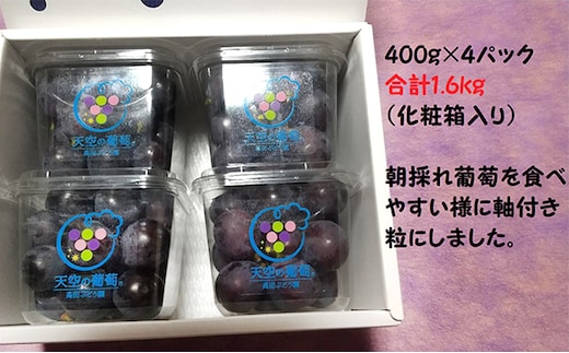 
										
										ぶどう 天空の葡萄(登録商標) ニュー ピオーネ 1.6kg以上 400g ４パック 1箱 美味しい笑顔をお約束 葡萄 フルーツ 岡山 高梁市産 2024年 先行予約
									