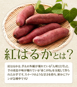 秀品 紅はるか 約10kg S～2L混合 株式会社Foody’s 《90日以内に発送予定（土日祝を除く）》熊本県 菊池市 さつまいも 芋 紅蜜芋 焼き芋 野菜 菊池市産 熊本県産 九州産