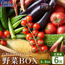 【ふるさと納税】石垣島産 野菜BOX【6回定期便】（6~8種類）季節ごとに野菜パワーをあなたに！！CK-3 【野菜セット おまかせセット 旬 季節のお野菜 旬の野菜セット 詰め合わせ 定期便 6回 定番野菜 島野菜 沖縄県 石垣市 石垣島 石垣 】